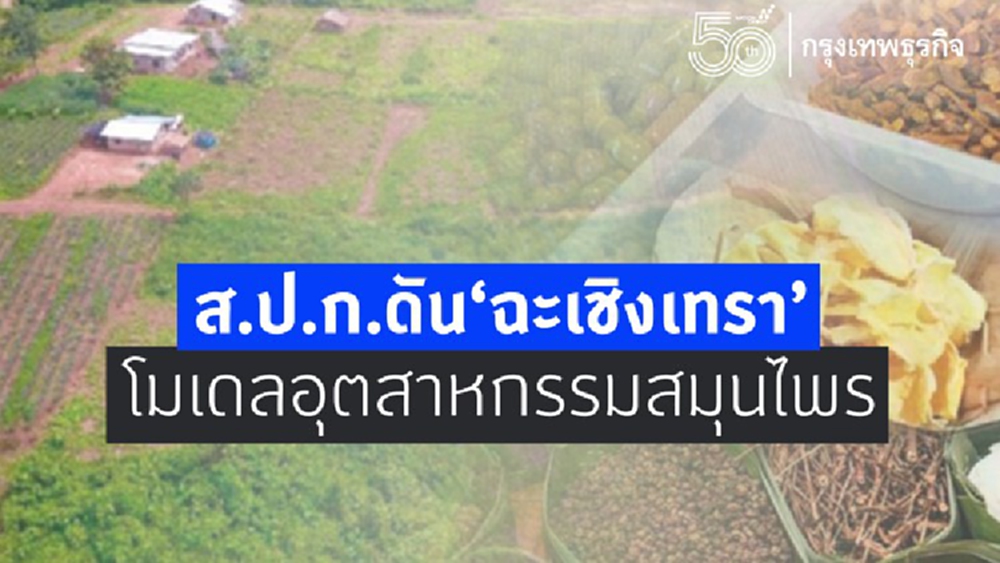 ส.ป.ก.ดัน“ฉะเชิงเทรา” โมเดลอุตสาหกรรมสมุนไพร