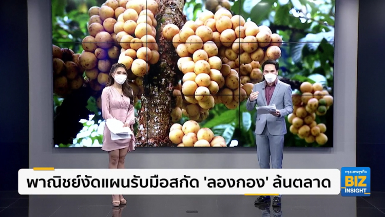 พาณิชย์งัดแผนรับมือสกัด 'ลองกอง' ล้นตลาด