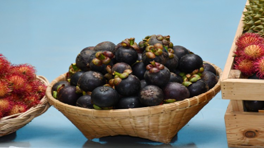 “จุรินทร์-เฉลิมชัย” ปลื้ม ขายมังคุดได้2หมื่นตันราคาเกินเป้า  