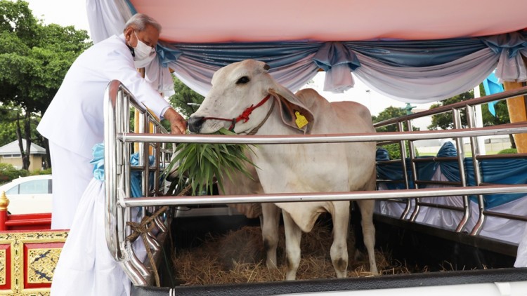 ‘ในหลวง’โปรดเกล้าฯ ให้ผู้แทนพระองค์ ไปในการบำเพ็ญพระราชกุศลวันเฉลิมพระชนมพรรษา สมเด็จพระพันปีหลวง 