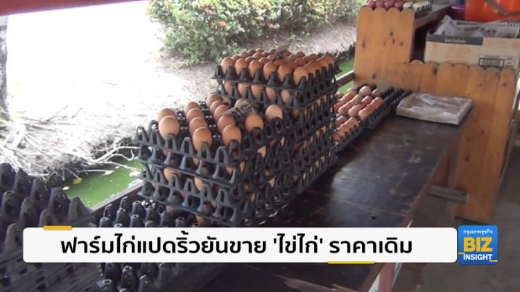 ฟาร์มไก่แปดริ้วยันขาย 'ไข่ไก่' ราคาเดิม