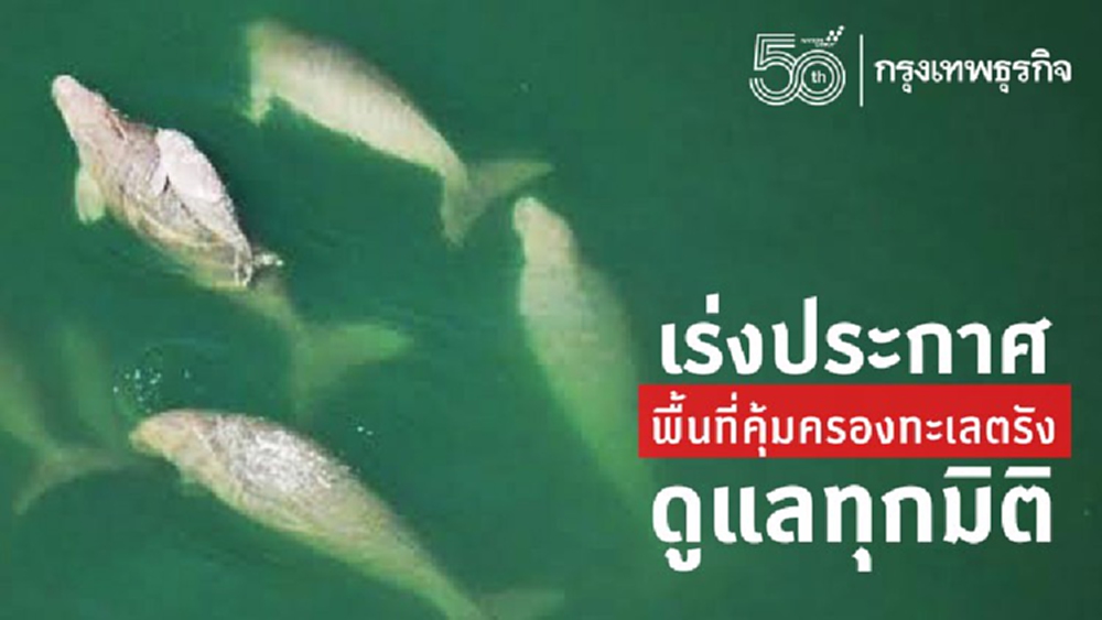 'กรมทะเล' เร่งประกาศพื้นที่คุ้มครองทะเลตรัง ดูแลทุกมิติ