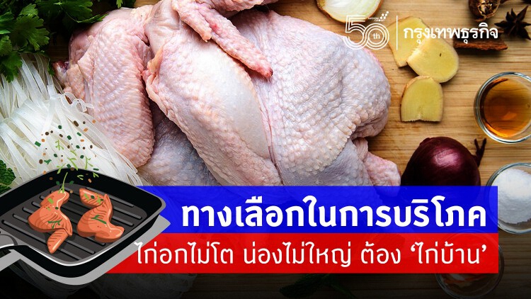 เรื่องของ'ไก่บ้าน' ที่ไม่ได้มีแค่ไก่   