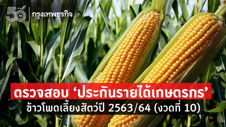 ตรวจสอบ 'ประกันรายได้เกษตรกร' ข้าวโพดเลี้ยงสัตว์ปี 2563/64 (งวดที่ 10)