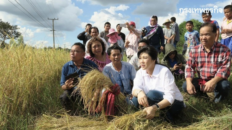 'ยิ่งลักษณ์'ซัด'รัฐบาล'ล้มเหลวช่วยชาวนา แนะเน้นส่งออก ข้าวราคาจะขึ้น