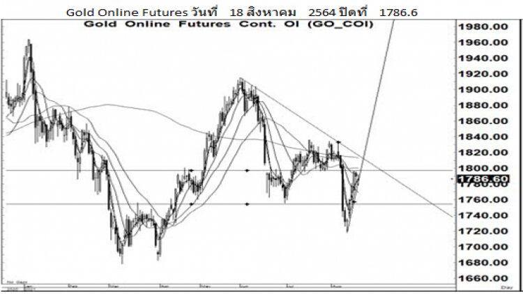 Daily Gold Futures (19 ส.ค.64)