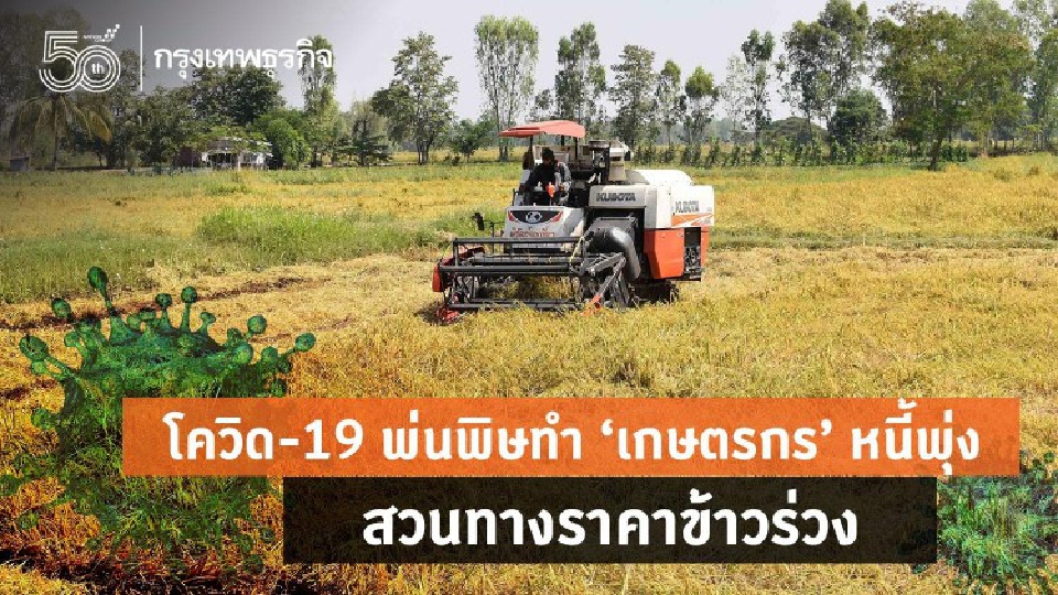  สศก.ชี้โควิดทำเกษตรกร  หนี้พุ่ง-ราคาข้าวร่วง