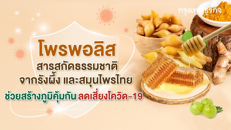 'ม.สุรนารี' เผยผลวิจัย 'โพรพอลิส' สารสกัดจากรังผึ้ง-สมุนไพร เพิ่ม 'ภูมิคุ้มกัน-ต้านโควิด'
