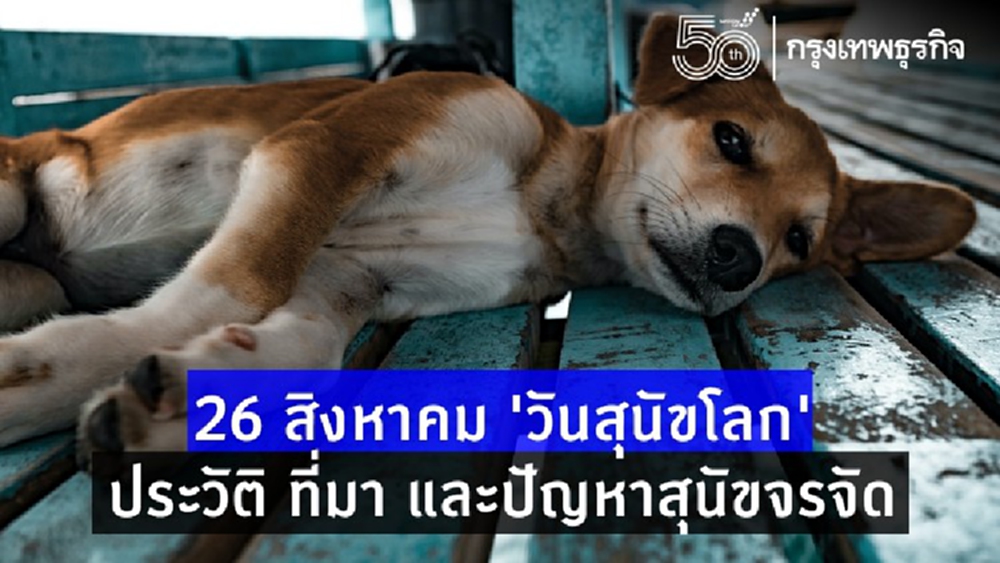 26 สิงหาคม ‘วันสุนัขโลก’ เปิดประวัติ ที่มา ส่องปัญหาสุนัขจรจัด