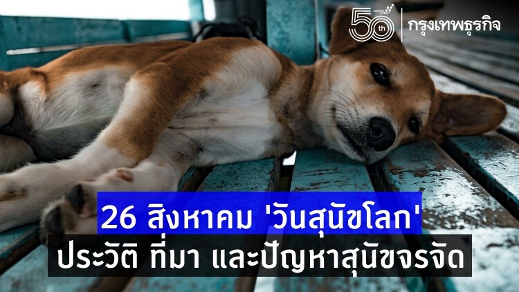 26 สิงหาคม ‘วันสุนัขโลก’ เปิดประวัติ ที่มา ส่องปัญหาสุนัขจรจัด