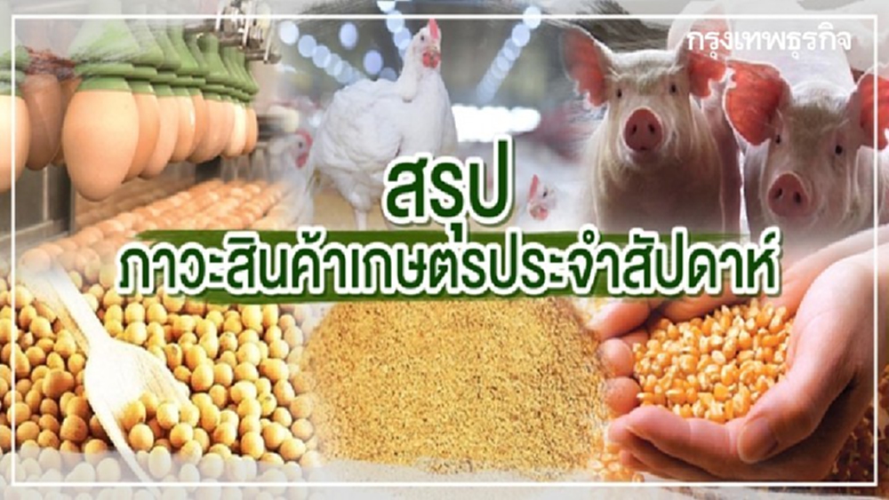 สรุปภาวะสินค้าเกษตรประจำสัปดาห์วันที่ 23-27 สิงหาคม 2564