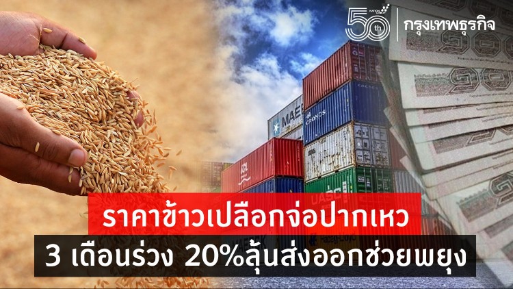 ราคาข้าวเปลือกจ่อปากเหว  3 เดือนร่วง 20%ลุ้นส่งออกช่วยพยุง