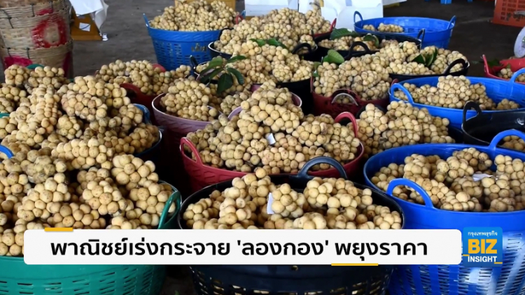 พาณิชย์เร่งกระจาย ‘ลองกอง’ พยุงราคา