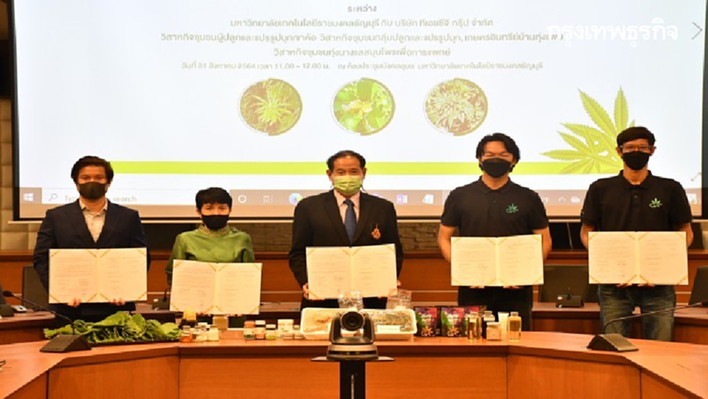 มทร.ธัญบุรี จับมือ 'ทีเอชซีจี กรุ๊ป' ลงนาม MOU วิจัย ปลูกและแปรรูปกัญชา-กัญชง-กระท่อม