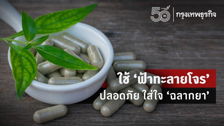 ส่อง 'ฉลากยา' ใช้ 'ฟ้าทะลายโจร' ต้านโควิด-19 อย่างปลอดภัย