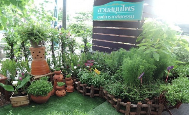 ชิม-ช้อปโอท็อปสมุนไพร“เมืองสุขภาพดี วิถีชุมชน” คลองกรุงเกษม