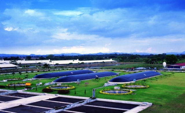 ซีพีเอฟ ชูมาตรฐานฟาร์มสุกรชั้นนำ “กรีนฟาร์ม”