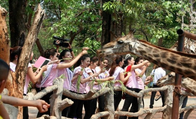 เที่ยวสวนสัตว์นครราชสีมา”ซาฟารีแห่งอีสาน”