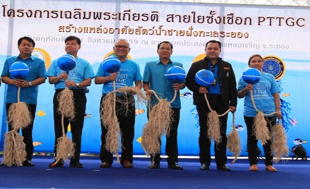 โครงการเฉลิมพระเกียรติ สายใยซั้งเชือก PTTGC