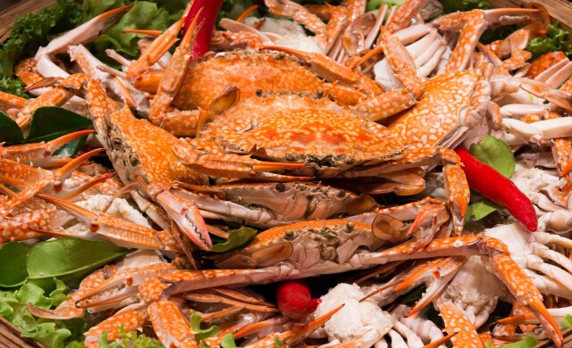 Crave Crab