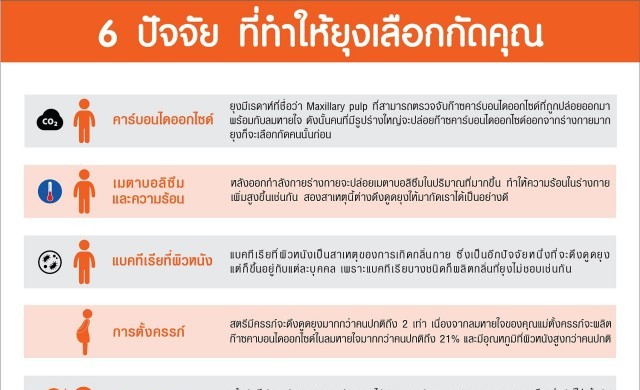 6 ปัจจัยที่ทำให้ยุงเลือกกัดคุณ