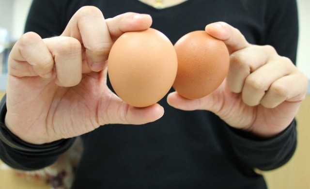 โคลีนในไข่ไก่...ป้องกันอัลไซเมอร์