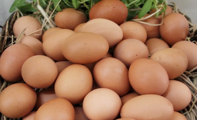 กินไข่ไก่...อย่างไรให้ได้ประโยชน์