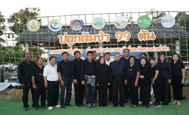 “ปลูกส้มซ่า 99 ต้นตามรอยปรัชญาเศรษฐกิจพอเพียงแห่งองค์ภูมิพล"