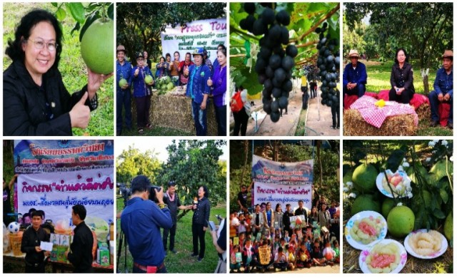 มกอช.บูมเกษตรเชียงราย “ส้มโอ-โครงการหลวง”