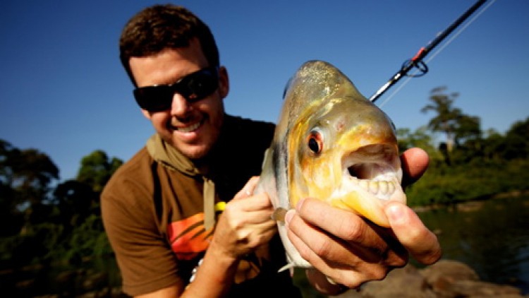 สารคดีชีวิตมหัศจรรย์ ตอน เมกาปิรันย่า ช่อง NOW26 