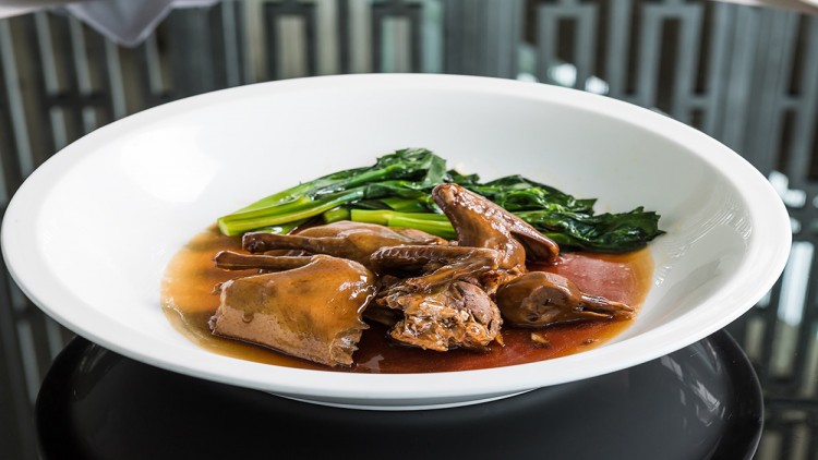 ลิ้มลองเมนูนกพิราบ