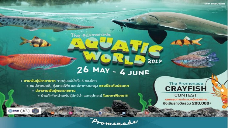 งาน Aquatic World 2017 