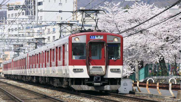 คนชอบเที่ยวมีเฮ ตั๋วรถไฟเที่ยวคันไซแบบไม่จำกัดครั้ง