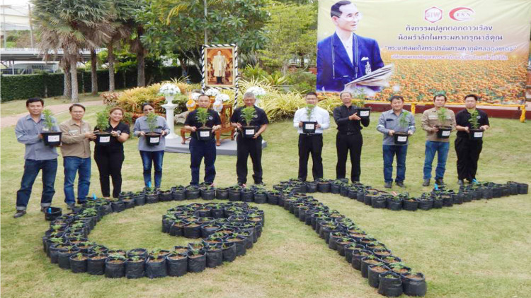 สยามลวดเหล็กฯ ร่วมปลูกดอกดาวเรืองถวายพ่อของแผ่นดิน ร.9