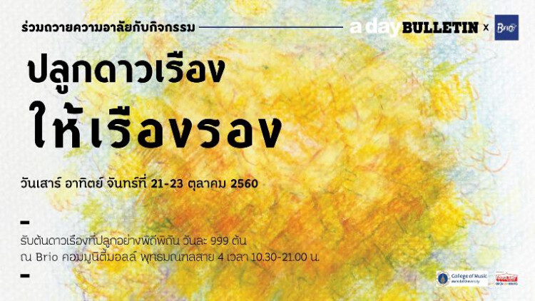 ปลูกดาวเรืองให้เรืองรองถวายความอาลัย ในหลวงรัชกาลที่ ๙