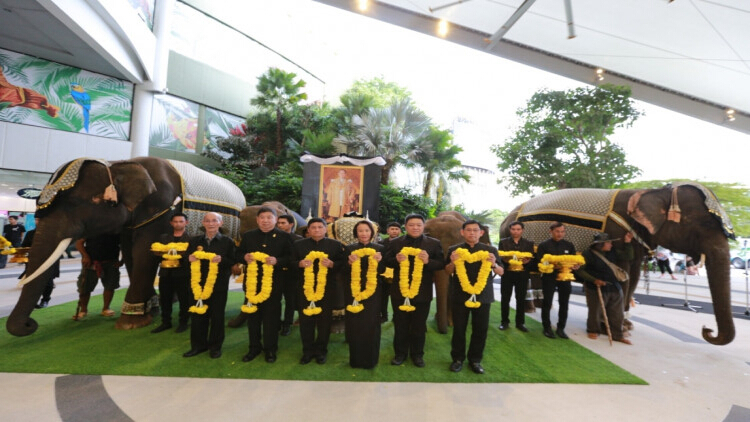 เดอะมอลล์ กรุ๊ป รวมใจน้อมสำนึกในพระมหากรุณาธิคุณ ร.9