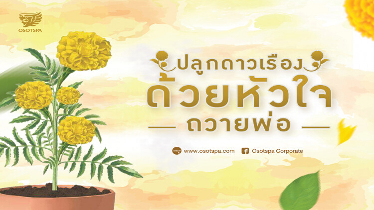 กิจกรรม “ปลูกดาวเรืองด้วยหัวใจถวายพ่อ”