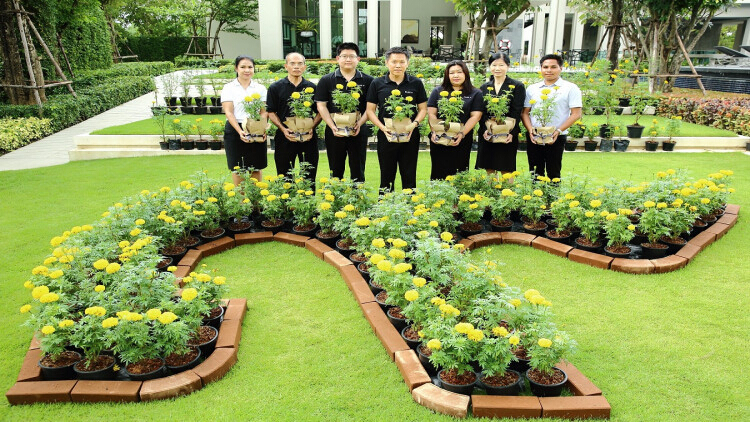 พลัส พร็อพเพอร์ตี้ น้อมถวายความภักดี ปลูกดาวเรือง 9,999 ต้น