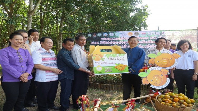 ส้มสีทอง GI น่าน และ Kick off คาราวานส้มสีทอง