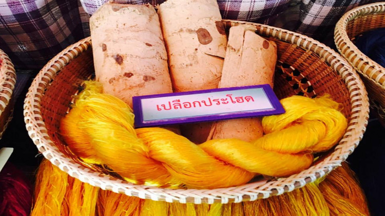 เกษตรฯสร้างมาตรฐาน “แผ่นใยไหม” ป้อนอุตสาหกรรมแปรรูป