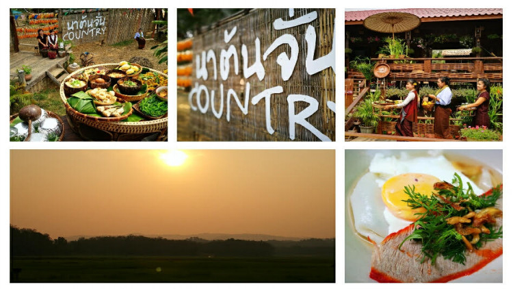 เที่ยวบ้านนาต้นจั่นรวมกิจกรรม ที่พักและอาหารแค่ 500บาท