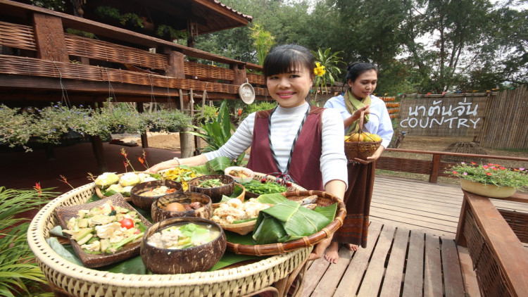 บ้านนาต้นจั่นโดดเด่นภูมิปัญญาอาหารถิ่น