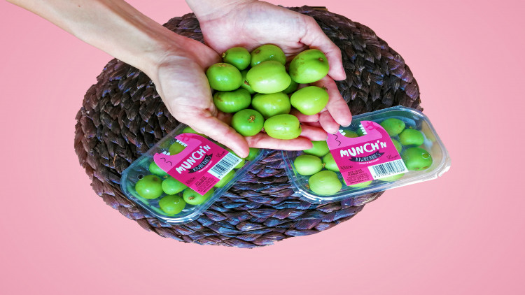 Munch’n kiwiberries - ซูเปอร์ฟรุตขนาดจิ๋วมาถึงเมืองไทยแล้ว!