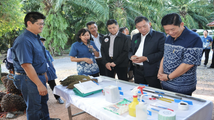 เกษตรฯ ปลื้มผลงานวิจัยปาล์มน้ำมันลด