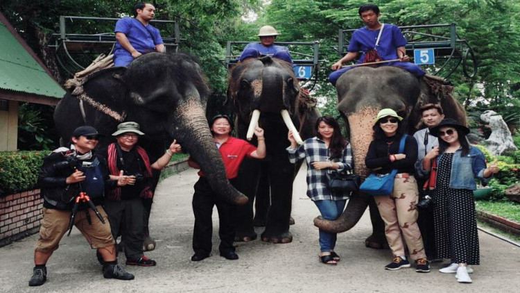 เชิญชวนเที่ยวลานแสดงช้างสามพรานรับซัมเมอร์