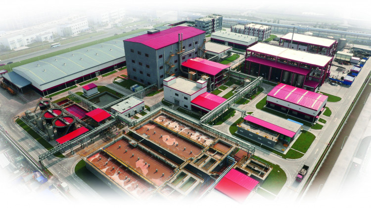 แลนเซสส์ได้รับรางวัลโรงงานสีเขียวจากรัฐบาลจีน