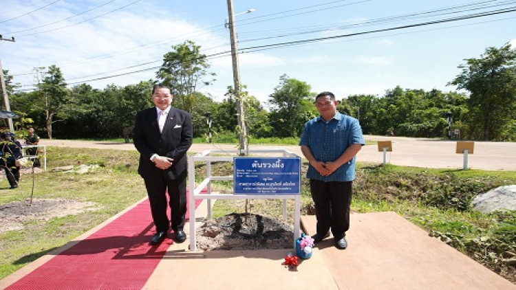 ปลูกต้นรวงผึ้ง 