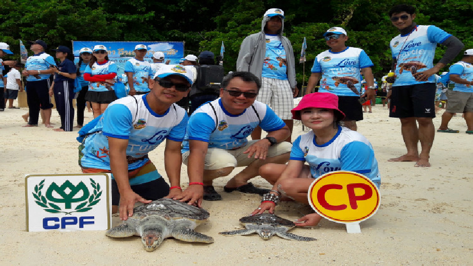 ซีพีเอฟ ร่วมอนุรักษ์พันธุ์เต่าทะเลให้ยั่งยืน
