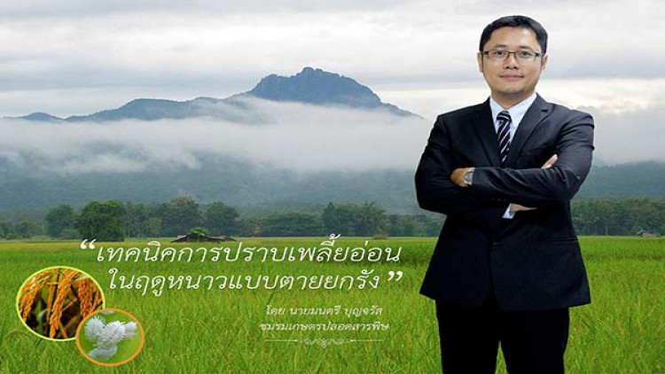 อาวุธปราบเพลี้ยอ่อนในฤดูหนาวแบบตายยกรัง