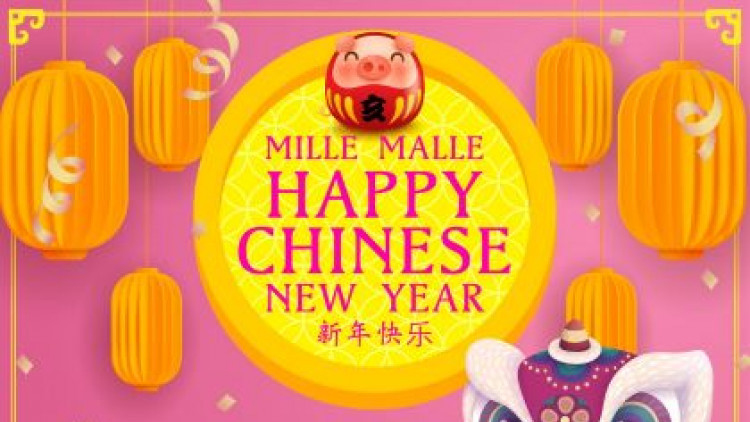 ฉลองตรุษจีน มั่งมีศรีสุขต้อนรับปีกุน